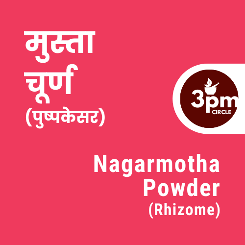 Nagarmotha Powder (Rhizome)
