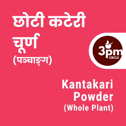 Kantakari Powder (Whole Plant)