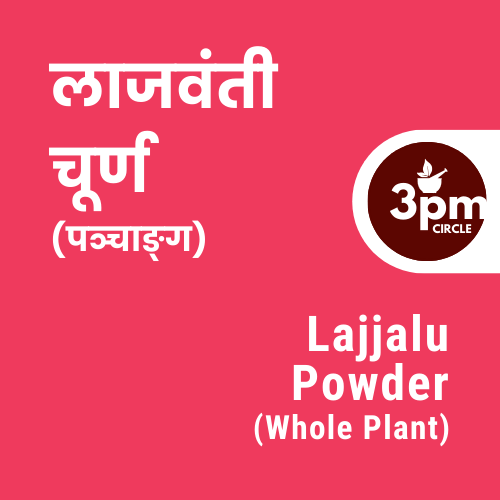 Lajjalu Powder (Whole Plant)