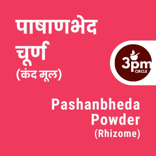 Pashanbheda Powder (Rhizome)